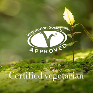 Antipodes Moisture-Boost Natural Long-lasting Conditioning Lipstick 4g,Lipsticks,OCARE NZ