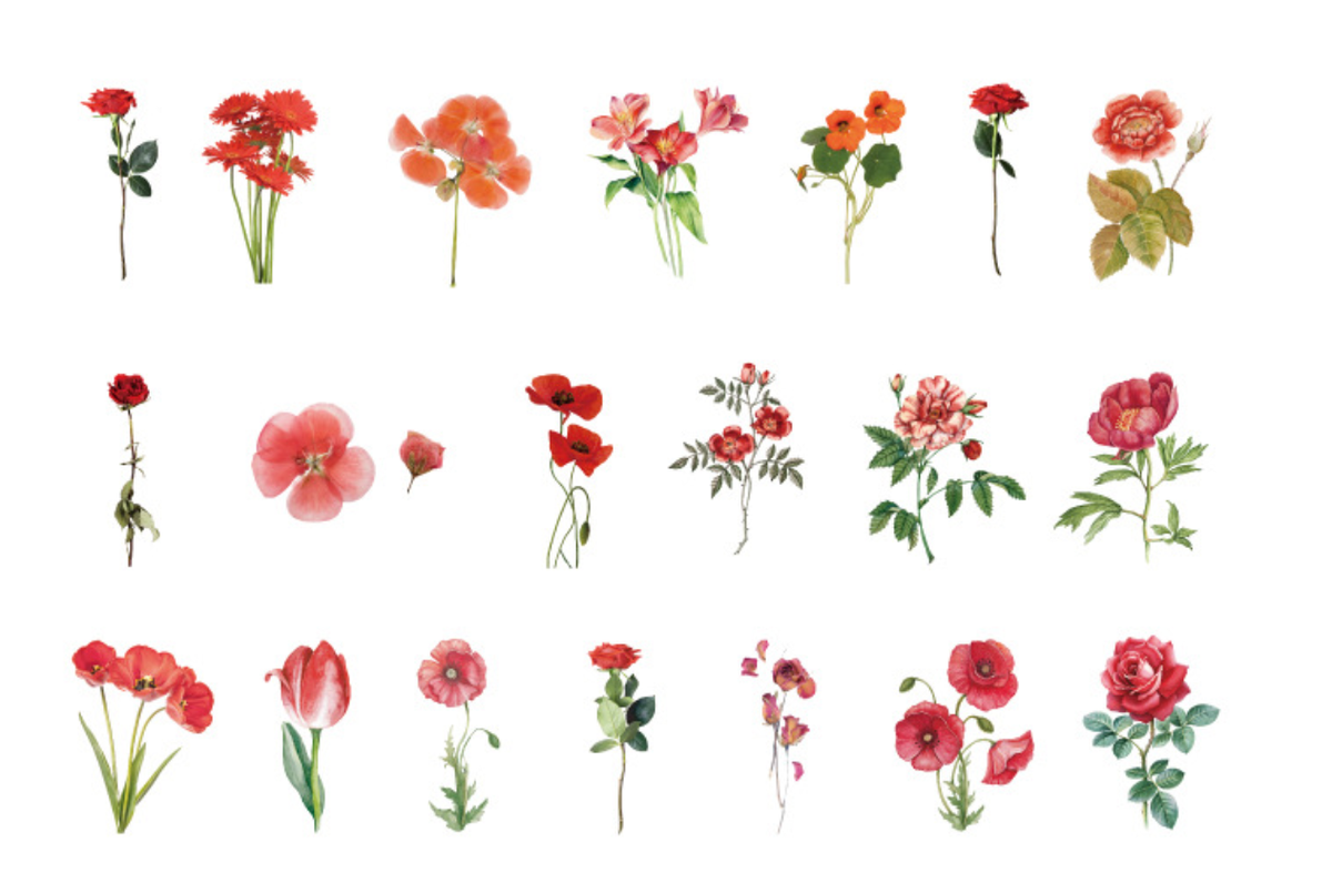 Candy Poetry Botanical Nature Series PET Sticker Pack