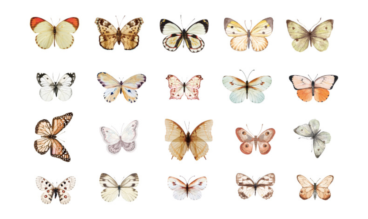 Candy Poetry Butterfly Nature PET Sticker Pack