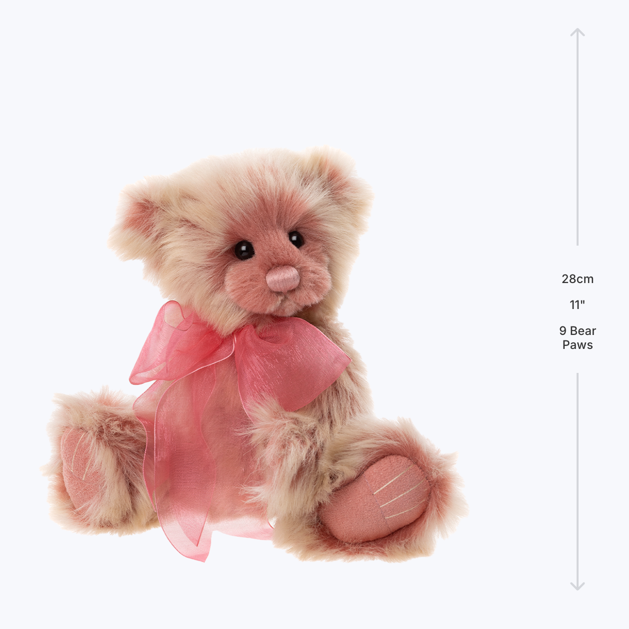 Charlie Bears Saturday