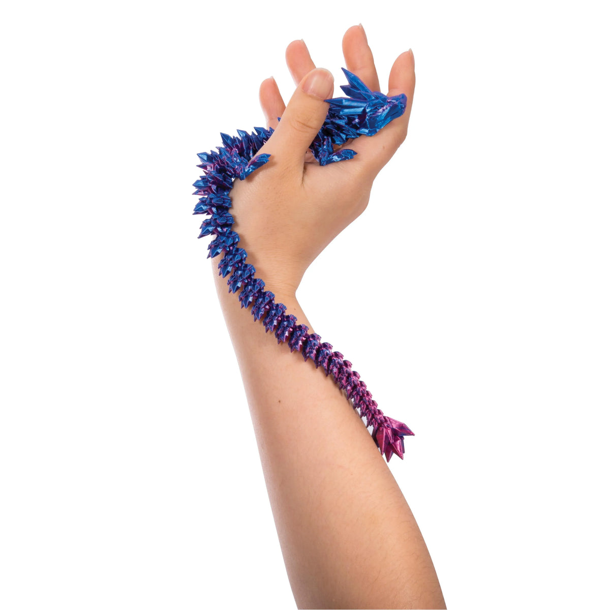 Discovery Zone 3D Sensory Dragon Toy - Assorted