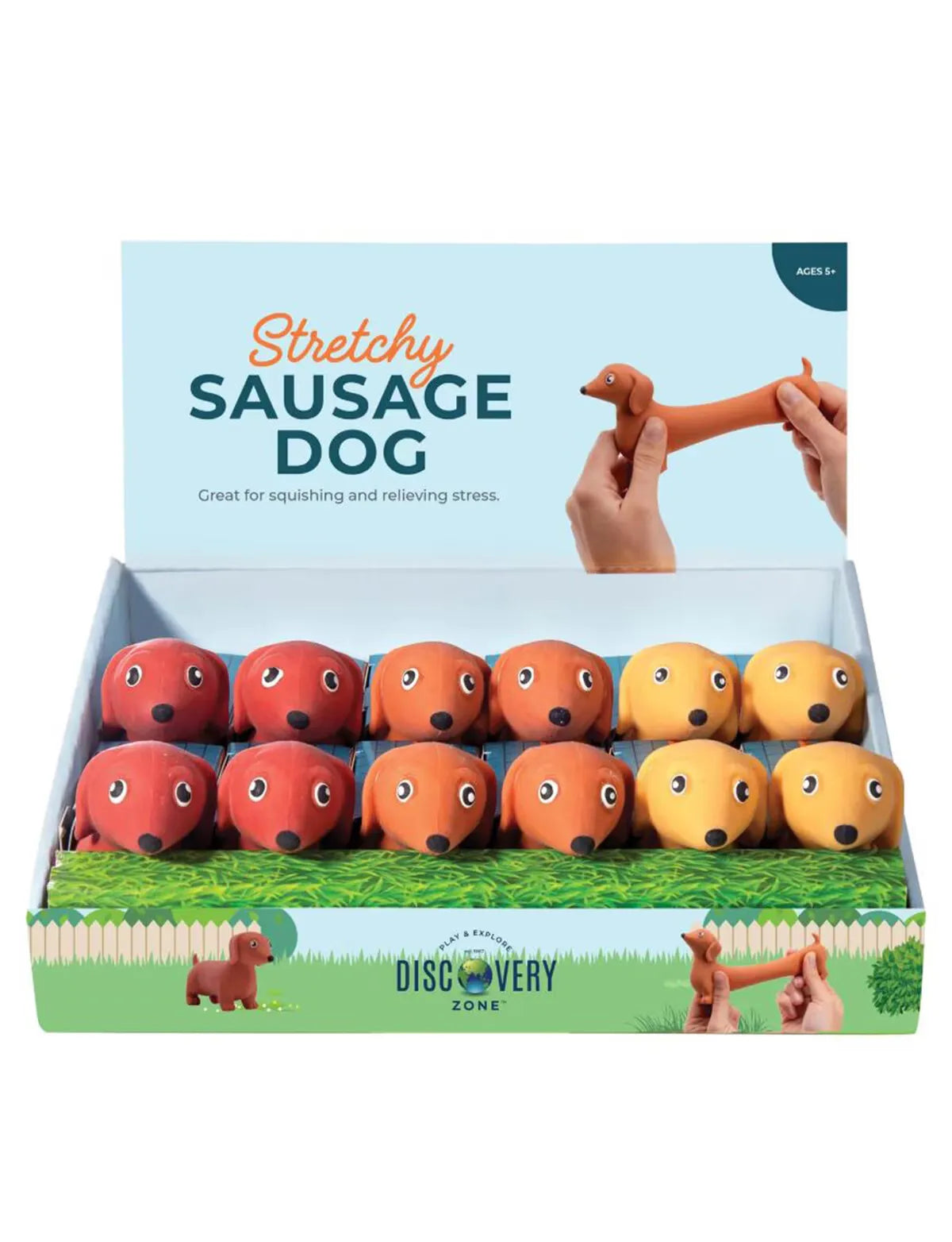 Discovery Zone Stretchy Sausage Dog Assorted