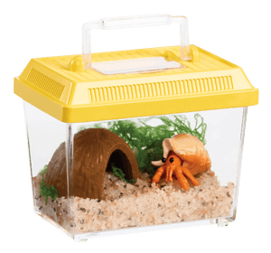 Small pet habitat with a yellow lid, clear sides, sand, a wooden hideout, and a small figurine on a transparent background