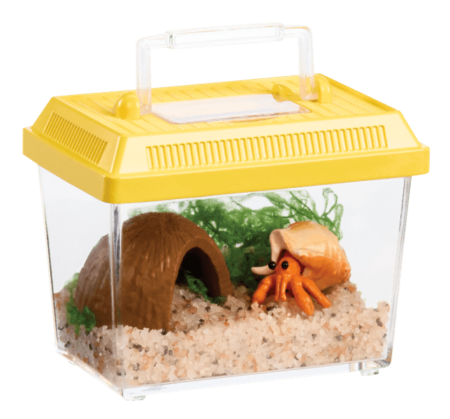 Small pet habitat with a yellow lid, clear sides, sand, a wooden hideout, and a small figurine on a transparent background