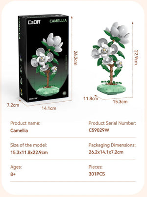 Camellia flower model with packaging and dimensions on a beige background