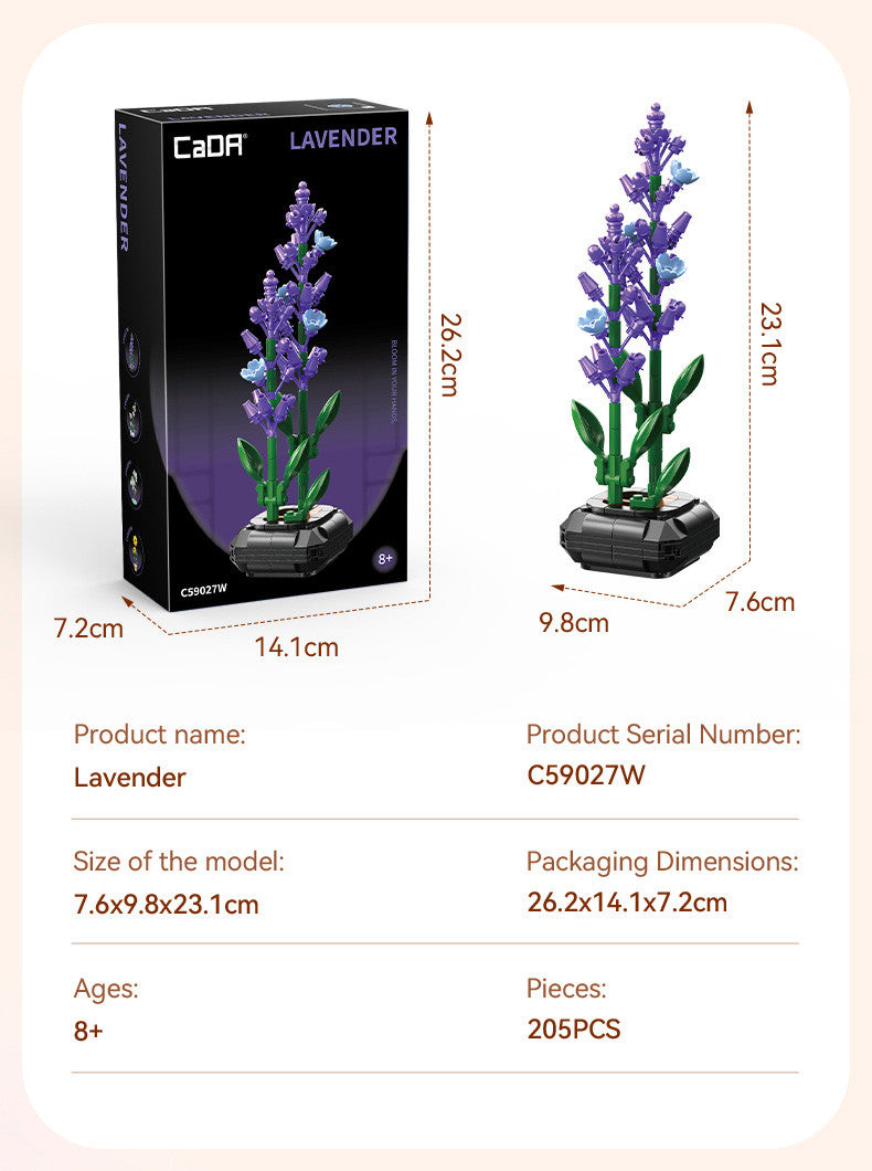Lavender model with packaging, dimensions, and product details on a beige background