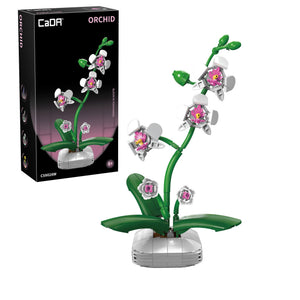 Model orchid plant with pink flowers and green leaves next to its packaging box.