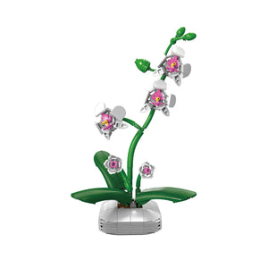 Model of a flower plant with pink flowers on a white background