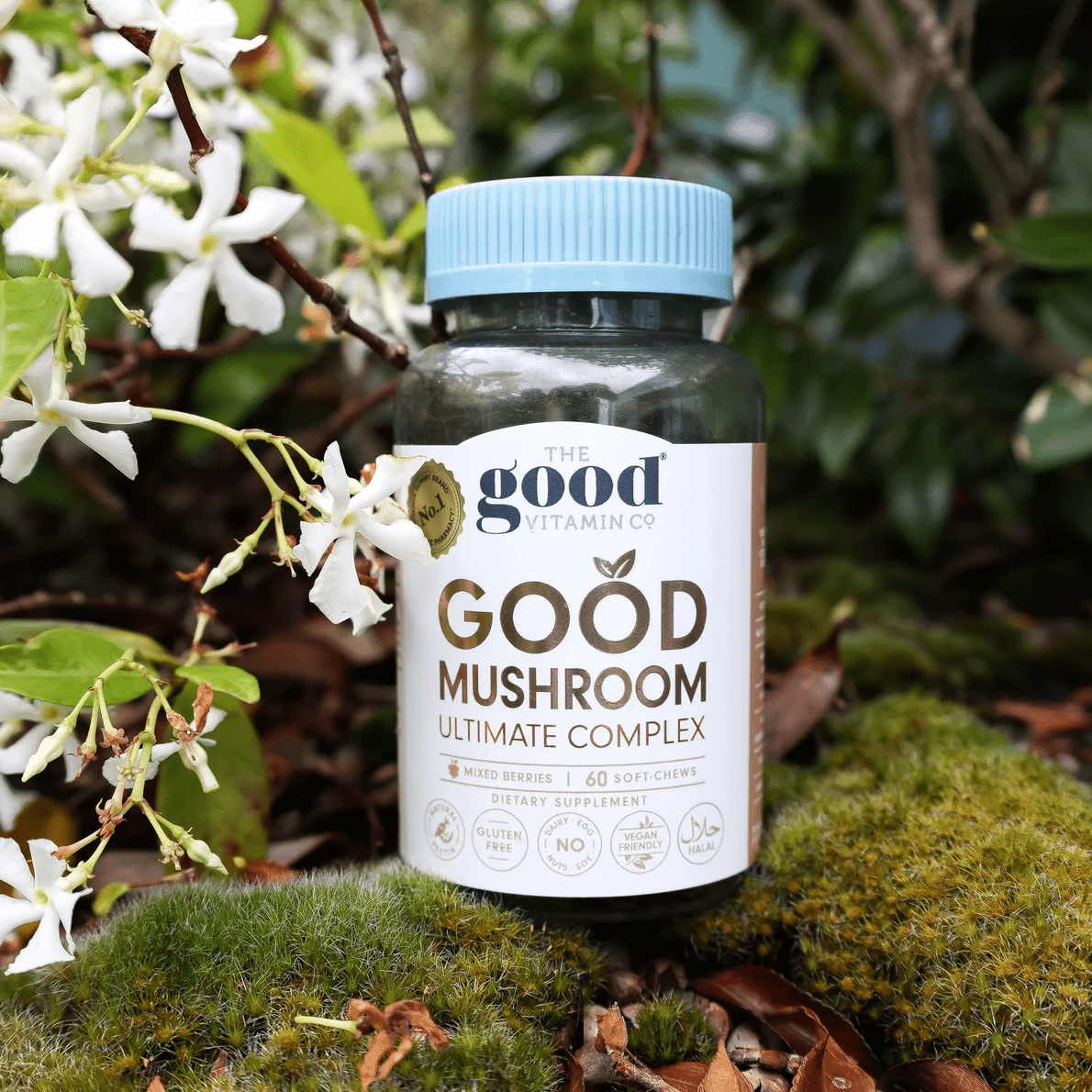 The Good Vitamin CO. Good Mushroom Ultimate Complex 60 Soft-Chews, Functional Mushrooms, OCARE NZ