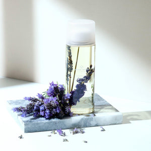 Linden Leaves Body Oil Absolute Dreams.