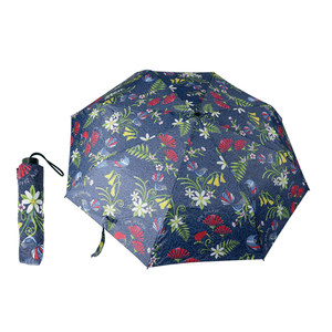 Parrs Umbrella, General