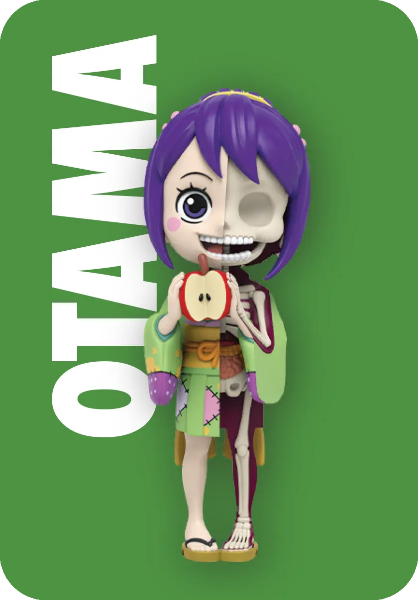 Mighty Jaxx: Freeny's Hidden Dissectibles – One Piece Ladies Edition Blind Box, image 7