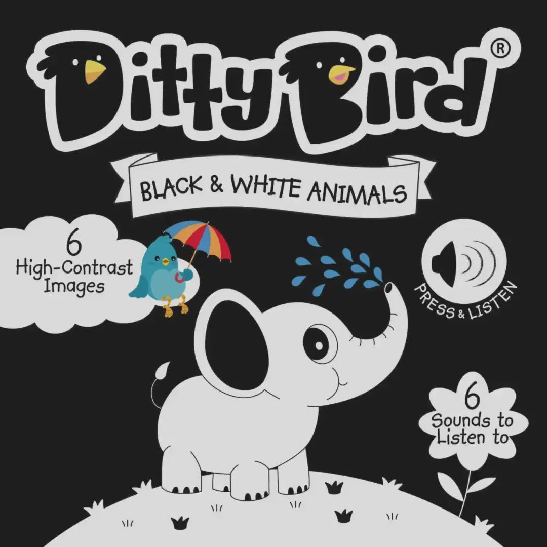 Ditty Bird Black & White Interactive Sound Book
