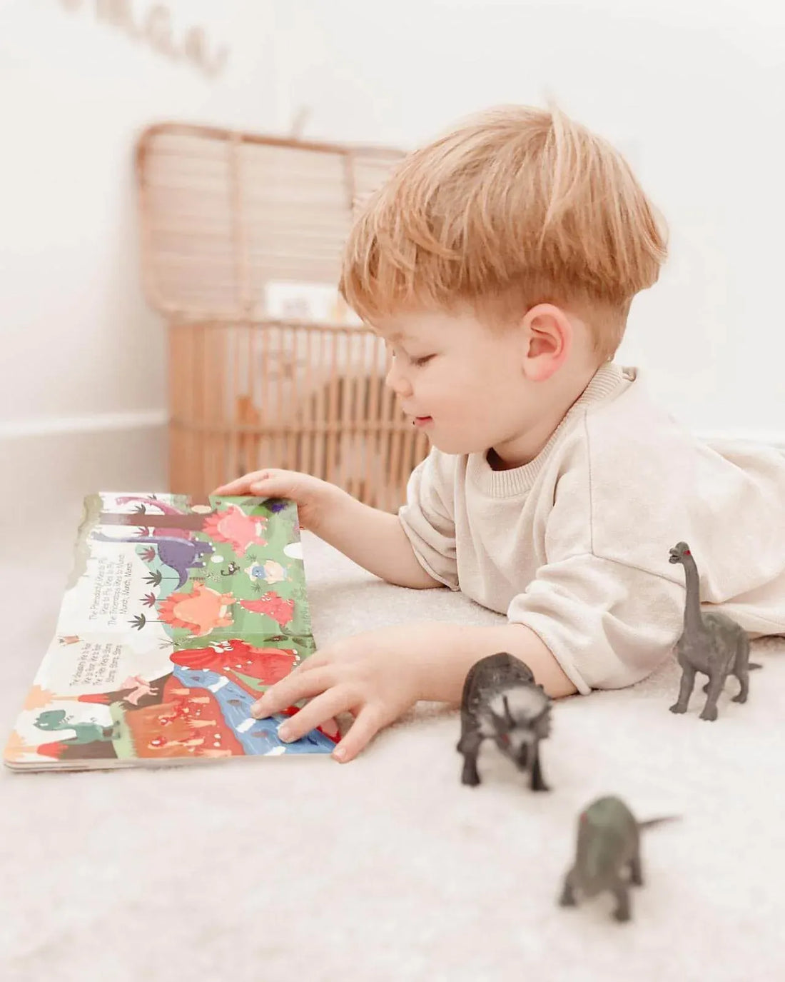 Ditty Bird Dinosaur Sounds Interactive Sound Book, image 8