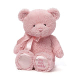 Gund Bear - My First Teddy, OCARE NZ