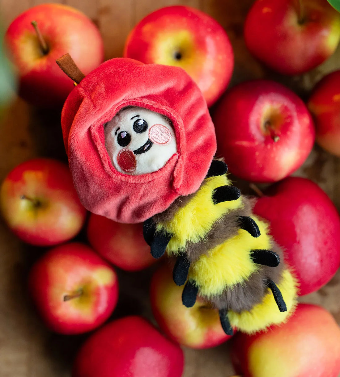Kaleidos Creative - Wooly Bear & Friends Plush Series 1 Blind Box, image 7