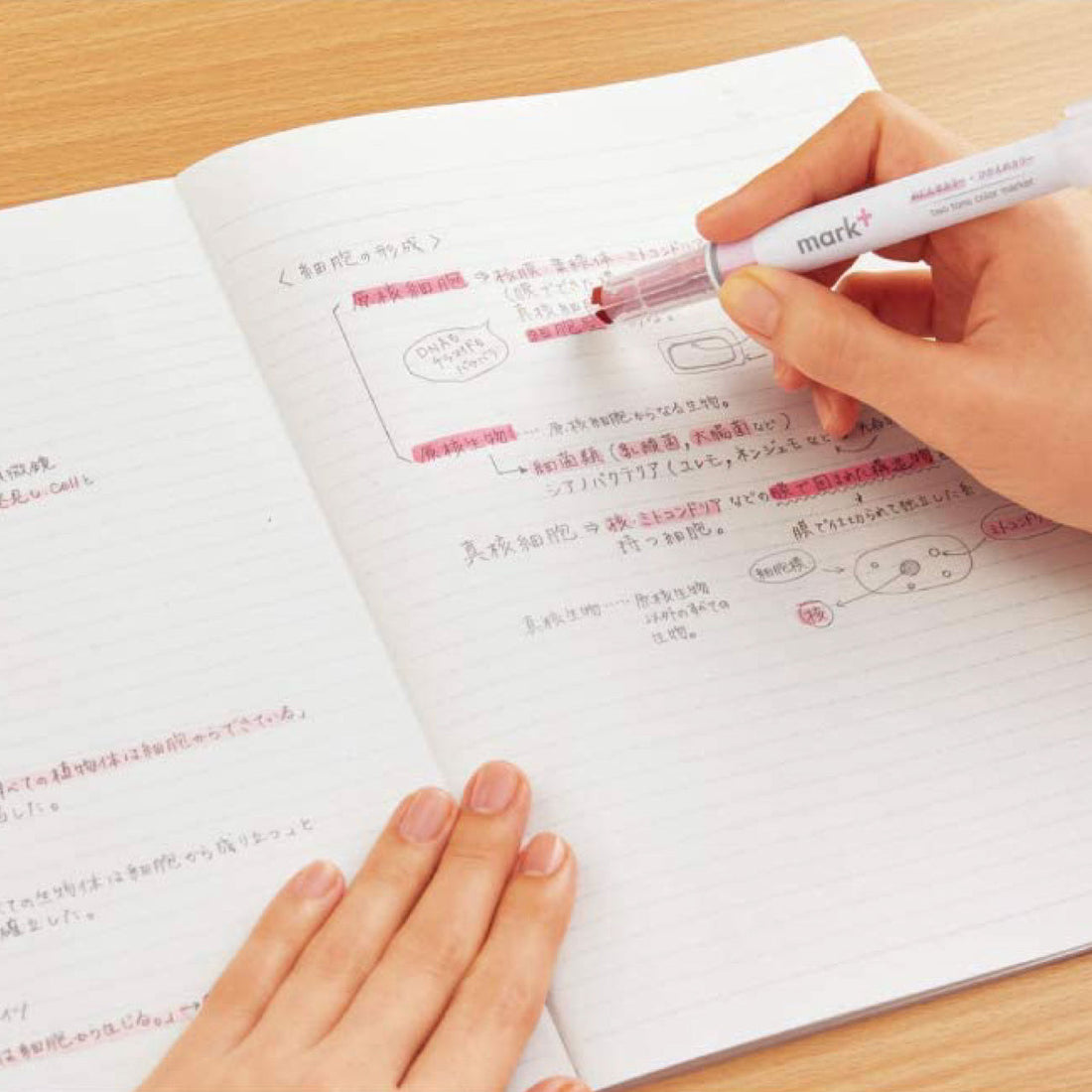 Kokuyo Mark+ Dual Tone Highlighter 5 Colour Set, image 5