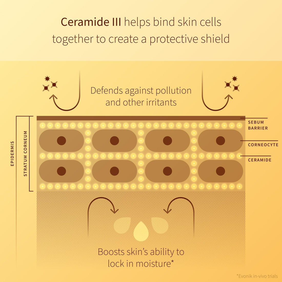 Antipodes Supernatural SPF50+ Ceramide Silk Facial Sunscreen 60ml, image 8
