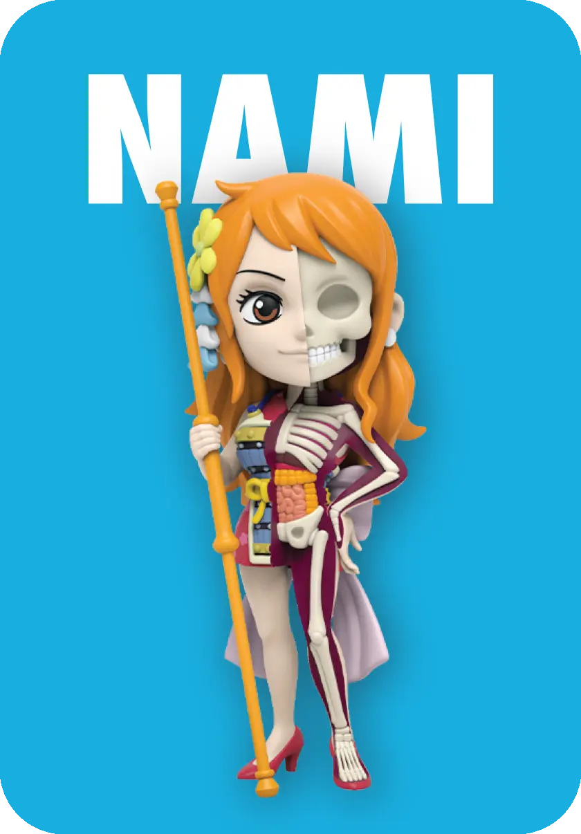 Mighty Jaxx: Freeny's Hidden Dissectibles – One Piece Ladies Edition Blind Box, image 4