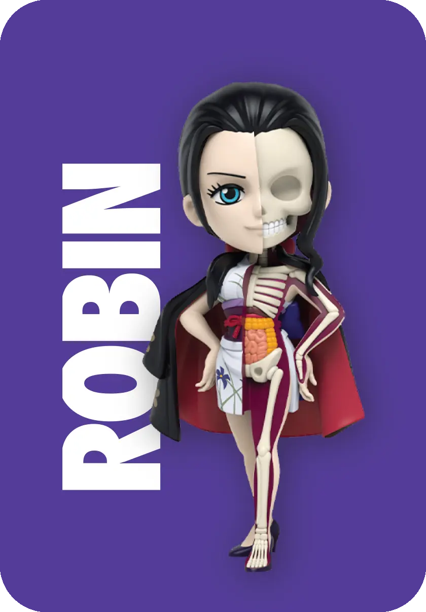 Mighty Jaxx: Freeny's Hidden Dissectibles – One Piece Ladies Edition Blind Box, image 3