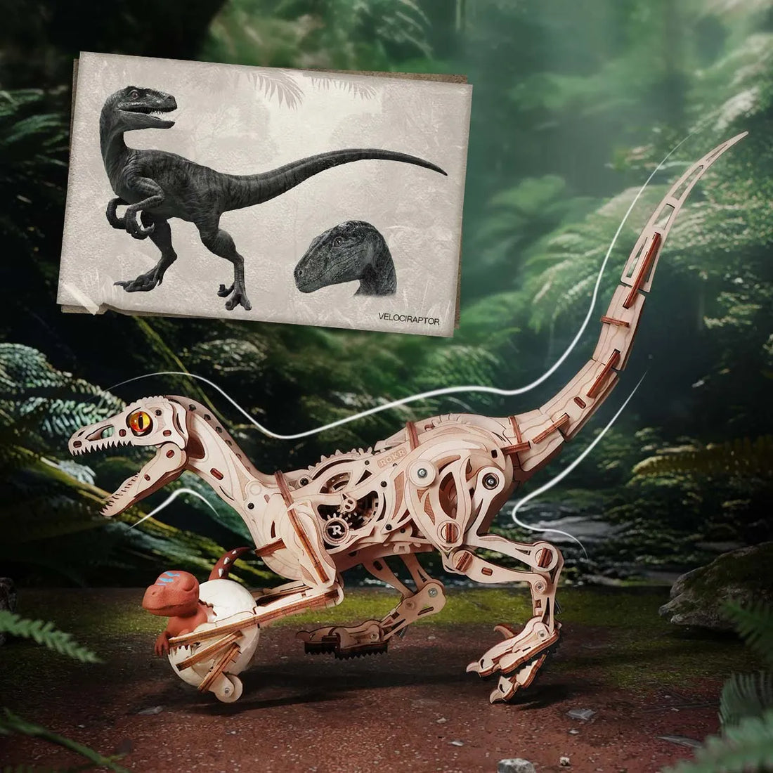ROKR Velociraptor Mechanical Dinosaur 3D Puzzle DIY Kit -189 Pieces - LD01, image 7