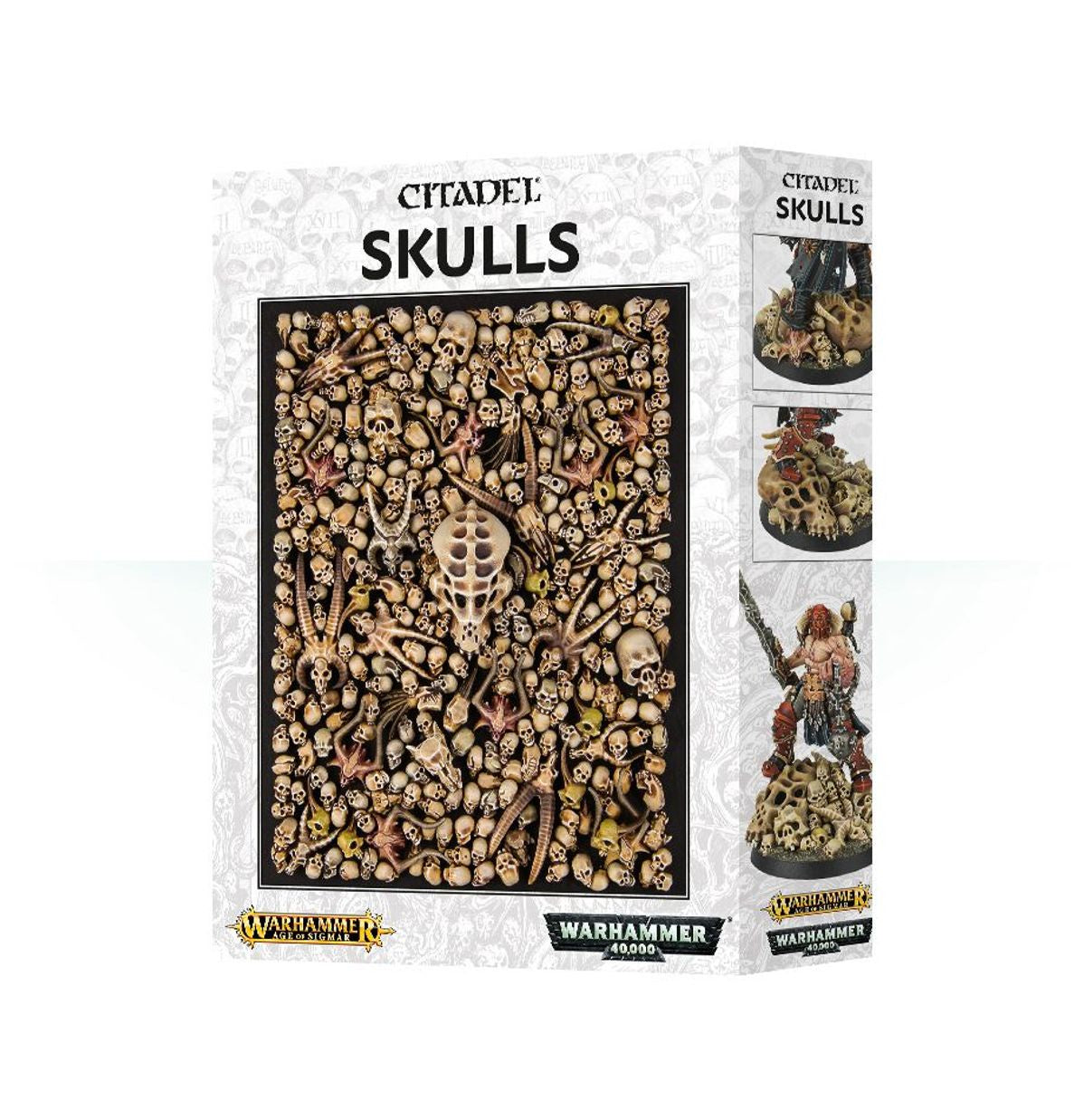 Warhammer Age of Sigmar Citadel Skulls