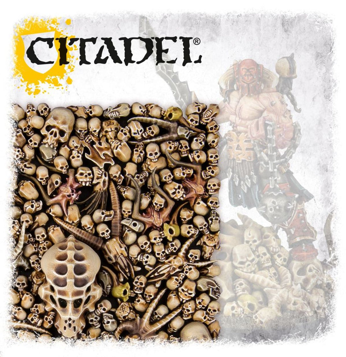 Warhammer Age of Sigmar Citadel Skulls, image 4