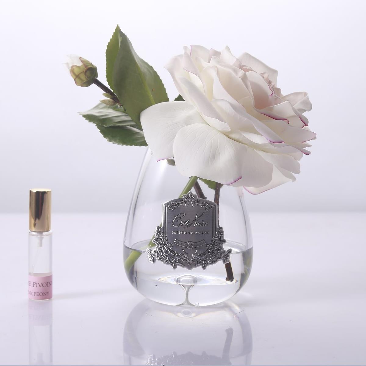 Cote Noire - Tear Drop Tea Rose In Clear Glass - Pink Blush - STR03.