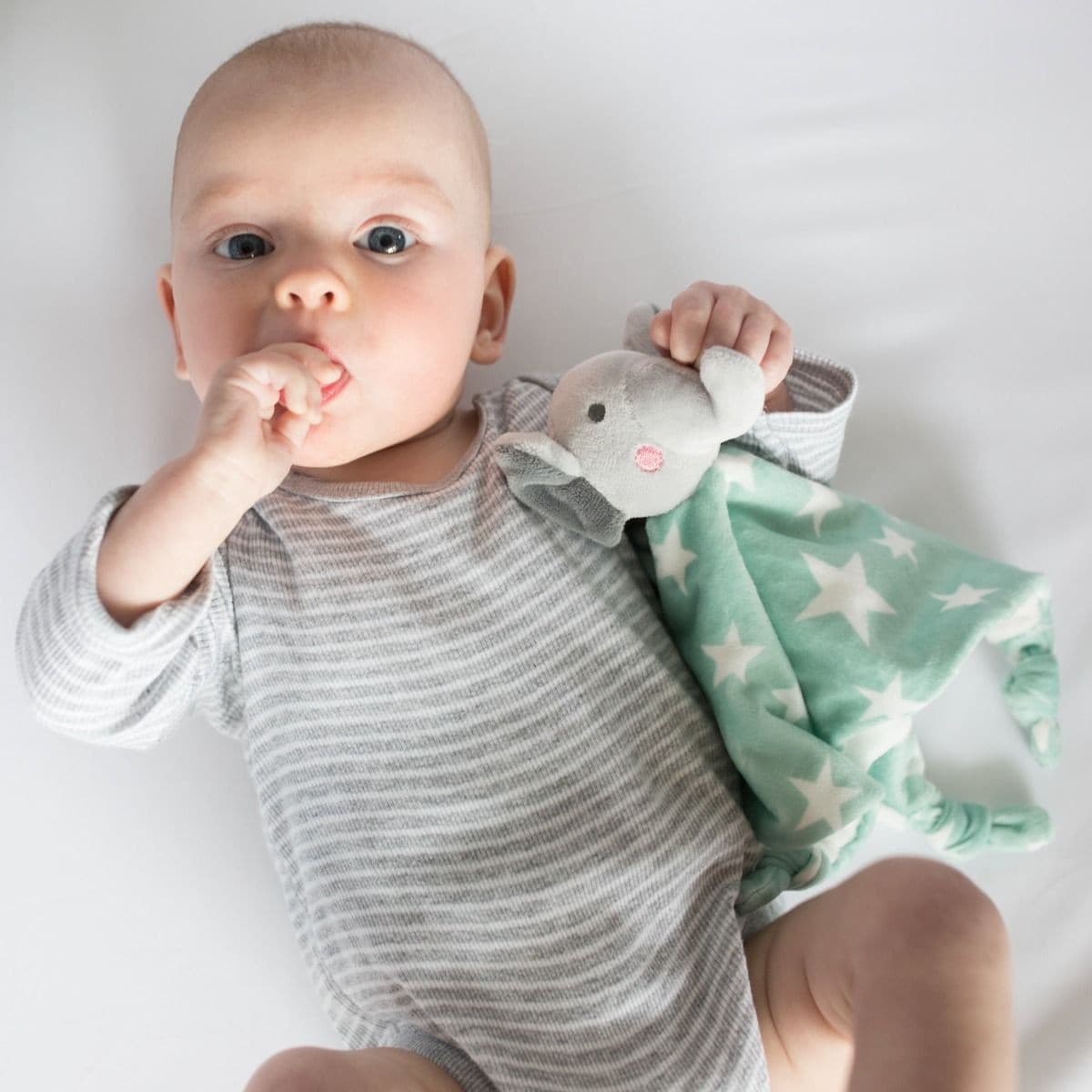 Little Linen Elephant Star Comforter.