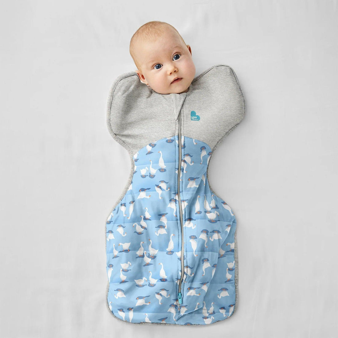 Love To Dream Swaddle Up 2.5 Tog Warm Silly Goose Blue, image 4
