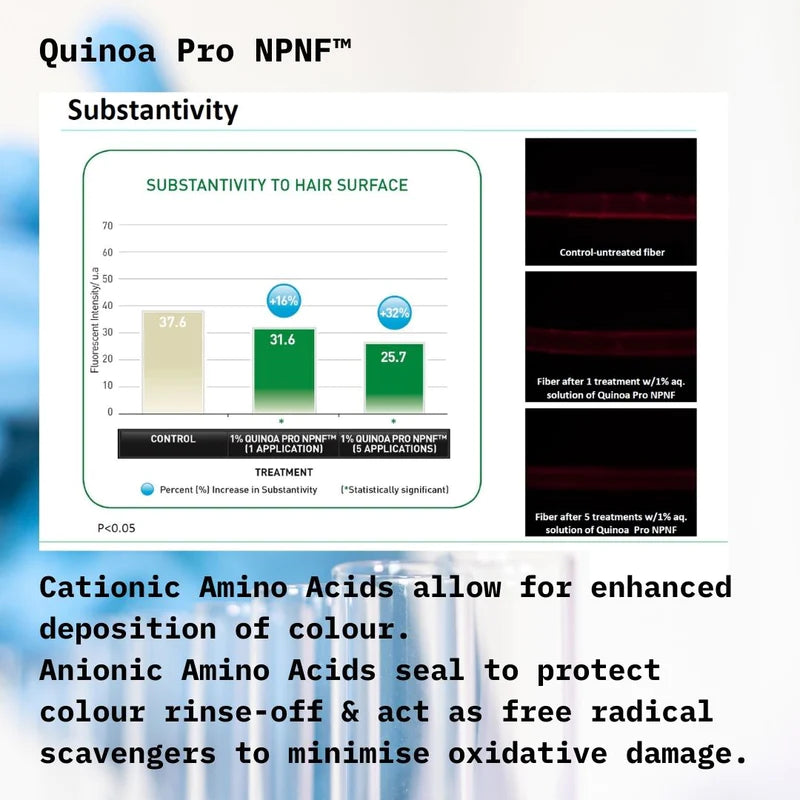 Holistic Hair Quinoa Pro NPNF Colour Protect Conditioner