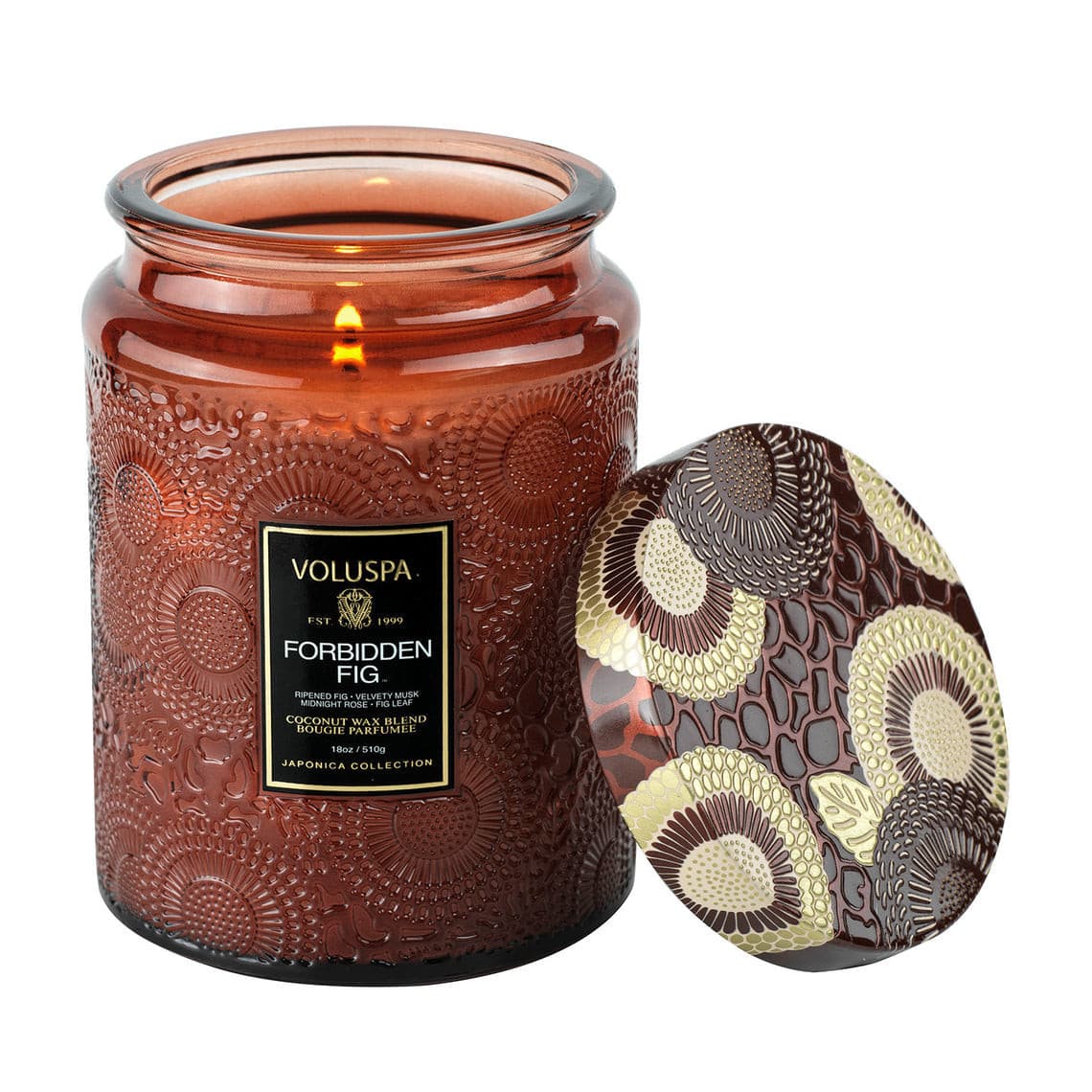 VOLUSPA Forbidden Fig 100hr Candle.